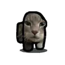 ibuycatnip