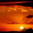 crewmate_56113 avatar