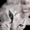 avatar sara