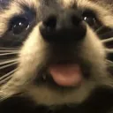 meeooowwwwwssssss avatar