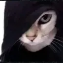 erltt_0