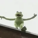 pfp