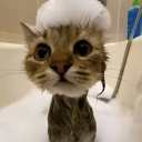 avatar ʏᴜᴍɪɪᴘᴜꜰꜰᵠ