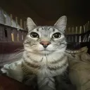gellyfish_48