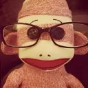 sam.cammarata avatar