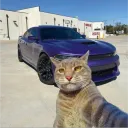 luandev22
