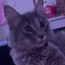 Alexis's Discord avatar