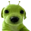 brrbrrpatapimtiktok666
