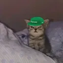 _pickle9