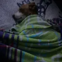 sebas0709.