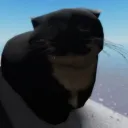 komarulol