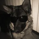 blooper_1