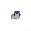 sashimanni