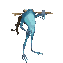 hayz6