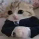 ecvdxd98