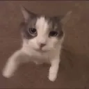 Аватар misterbusines