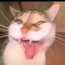 mrdaveeee