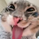 rbydx