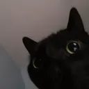 dannyxddd