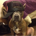 avatar на бруде играю