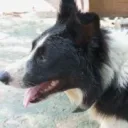 pedro04552