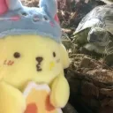 ffluttrysy