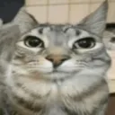 z0g0z