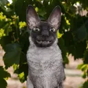 un1luv