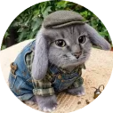 Discord Avatar