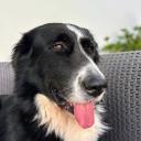 nbhjlkjkl.'s profile picture