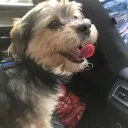 miau_miau826_83612 avatar