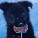 femfagfur avatar