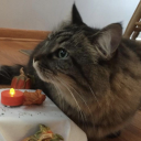 faeroew#0366's avatar