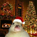 kingduck03