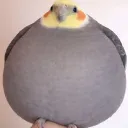 sagadomc