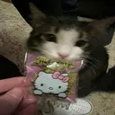 creamzly