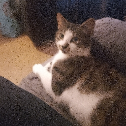 lewiswingchamp09_52432's Avatar