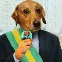 gustazin0162