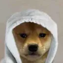 daniel_san13