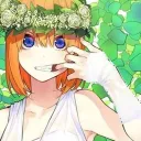 zippy_56251