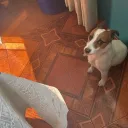 valeria2803_13841 avatar