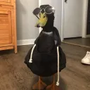 nkfwalenflk