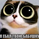 artur04644