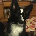 burstbits