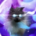 gatomaniaoficial