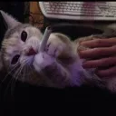 im_ya_babagul avatar