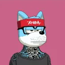 flankpointless29357