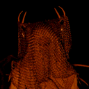 ihexye