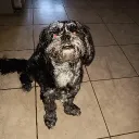 silver_jellybean.