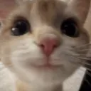 dodajebonskoboniarz